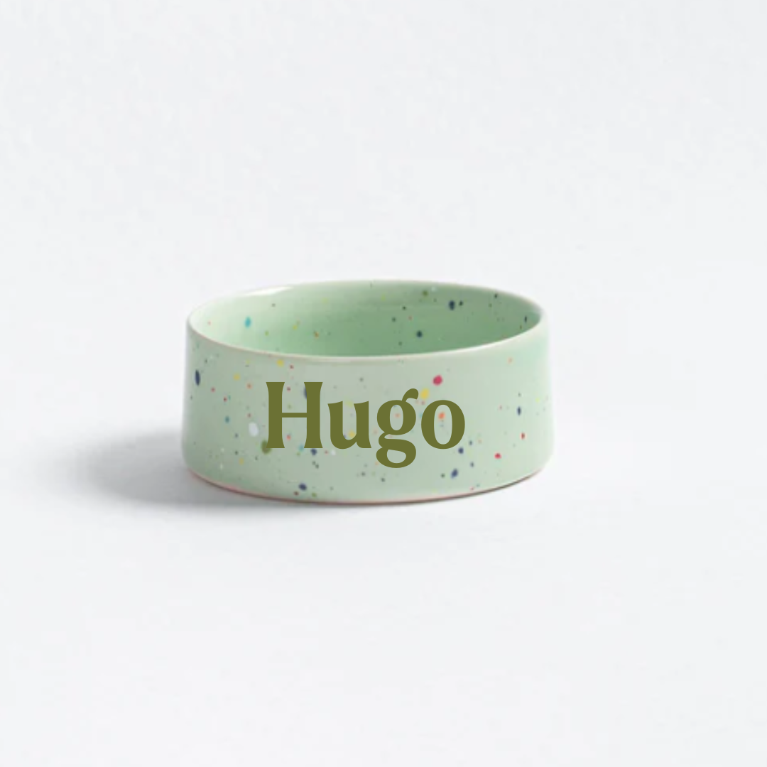 Personalised Party Pet Bowl – Ceramic Pet Bowl – Small & Large - 5 colours