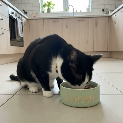Personalised Party Pet Bowl – Ceramic Pet Bowl – Small & Large - 5 colours