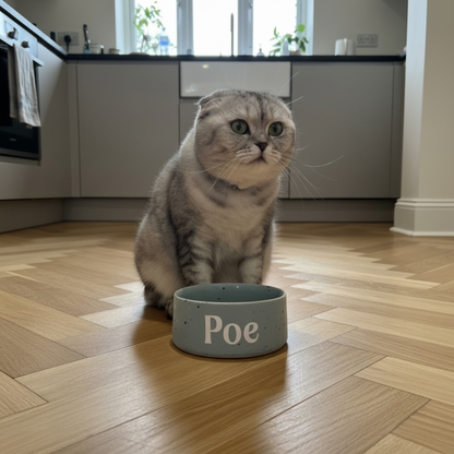 Personalised Party Pet Bowl – Ceramic Pet Bowl – Small & Large - 5 colours