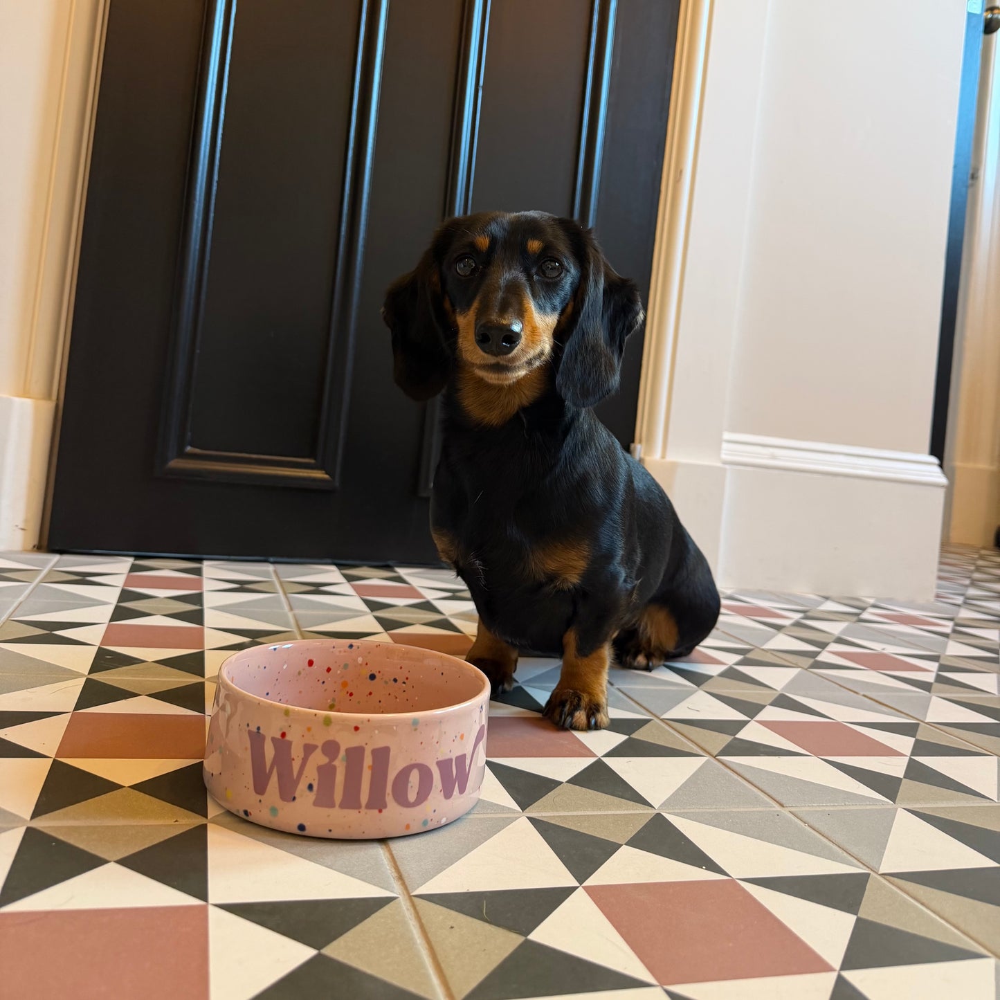 Personalised Party Pet Bowl – Ceramic Pet Bowl – Small & Large - 5 colours