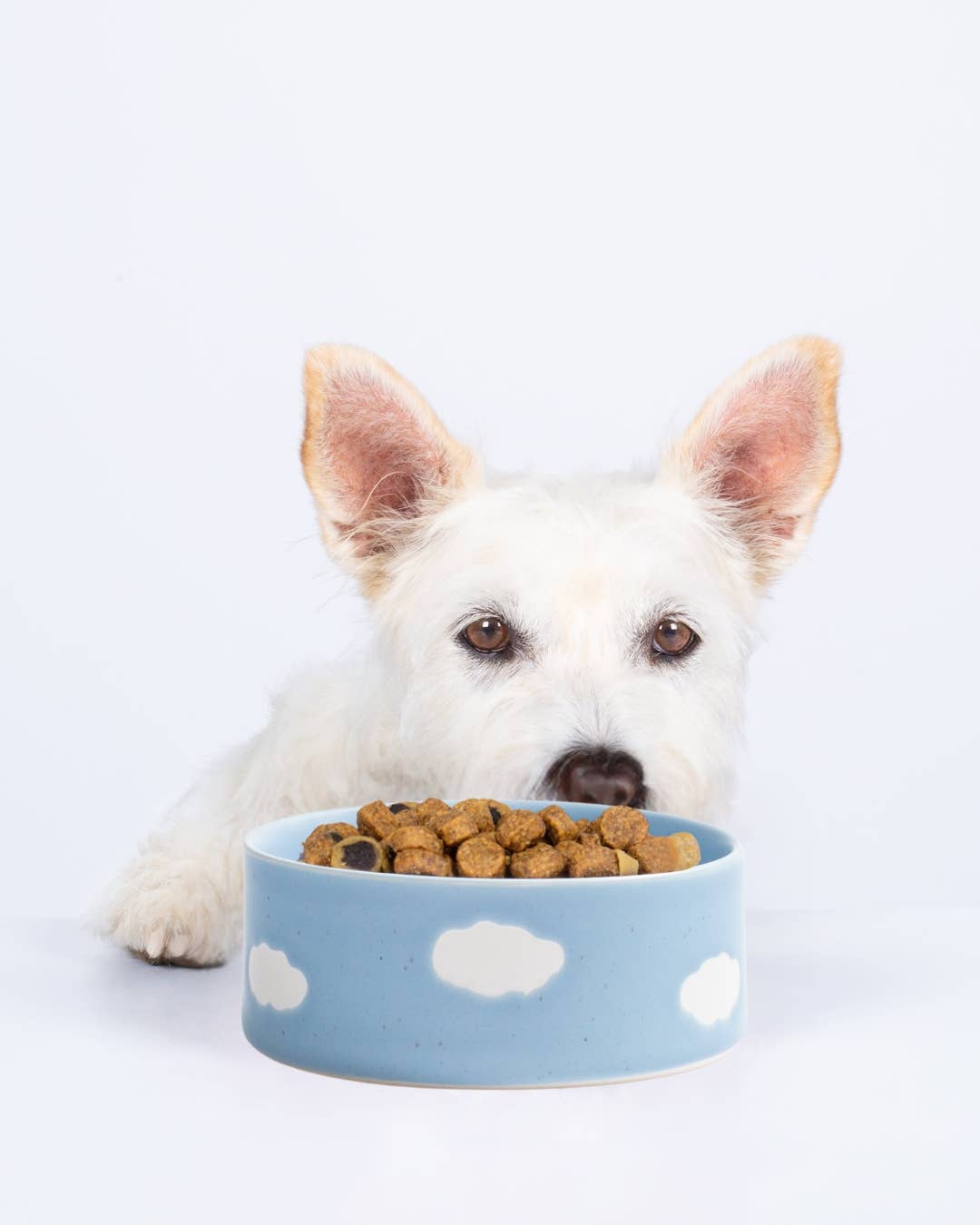 Personalised Cloud Pet Bowl – Ceramic | 2 Colours | Small & Large