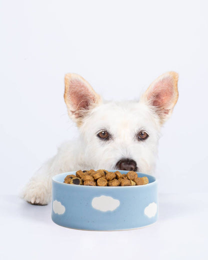 Personalised Cloud Pet Bowl – Ceramic | 2 Colours | Small & Large