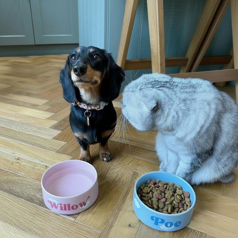 Personalised Cloud Pet Bowl – Ceramic | 2 Colours | Small & Large