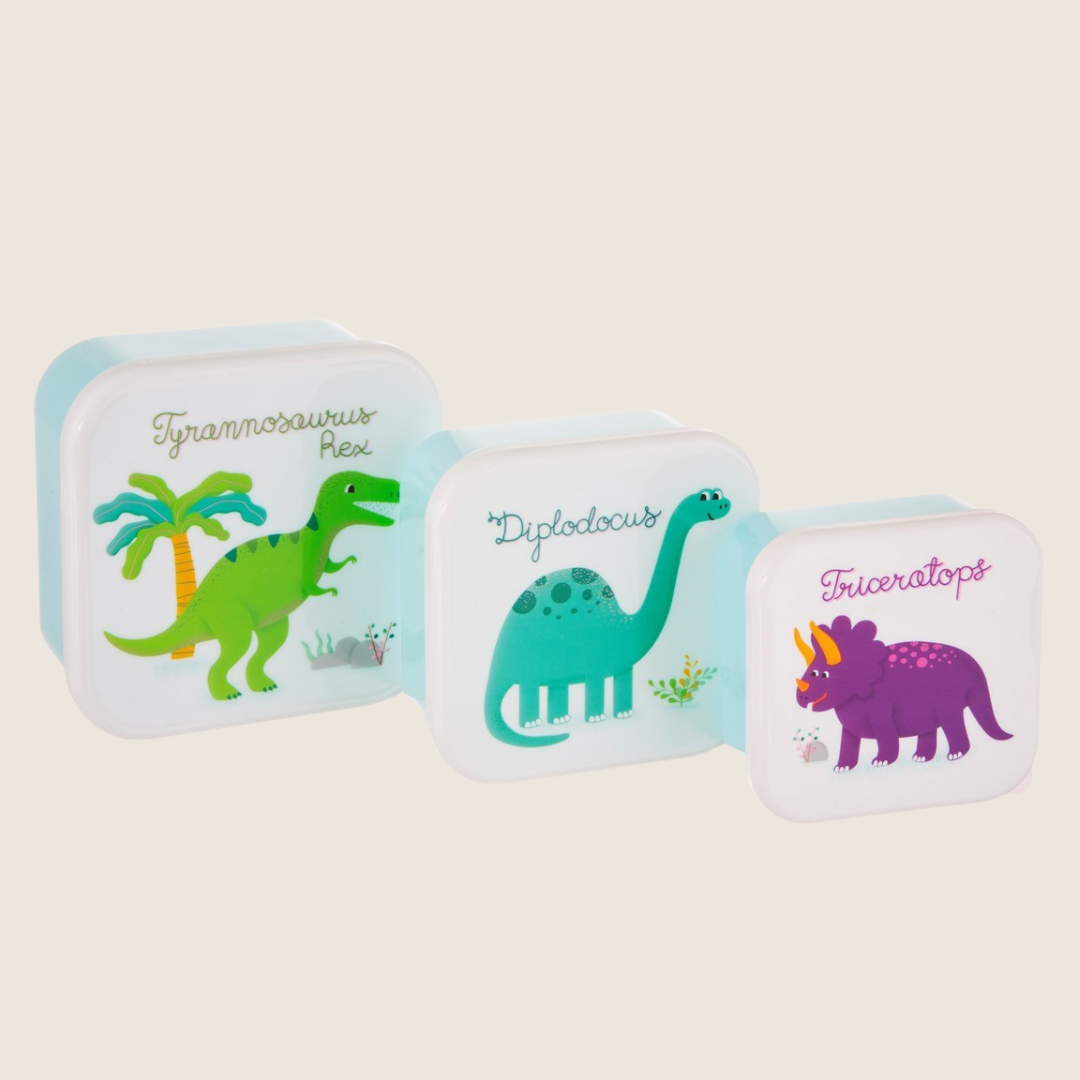 Kids Lunch Box - Set of 3