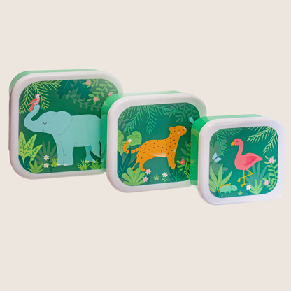Kids Lunch Box - Set of 3